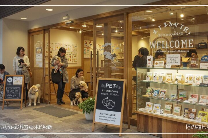 【完全保存版】福岡県内ペット同伴可能施設＆オリジナルグッズ情報まとめ