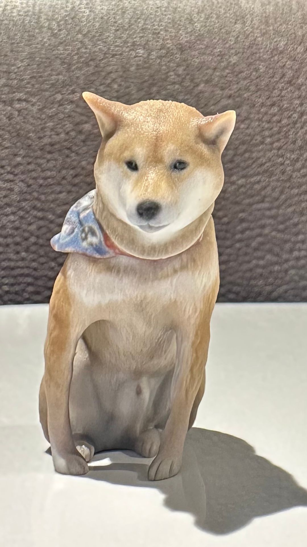 柴犬