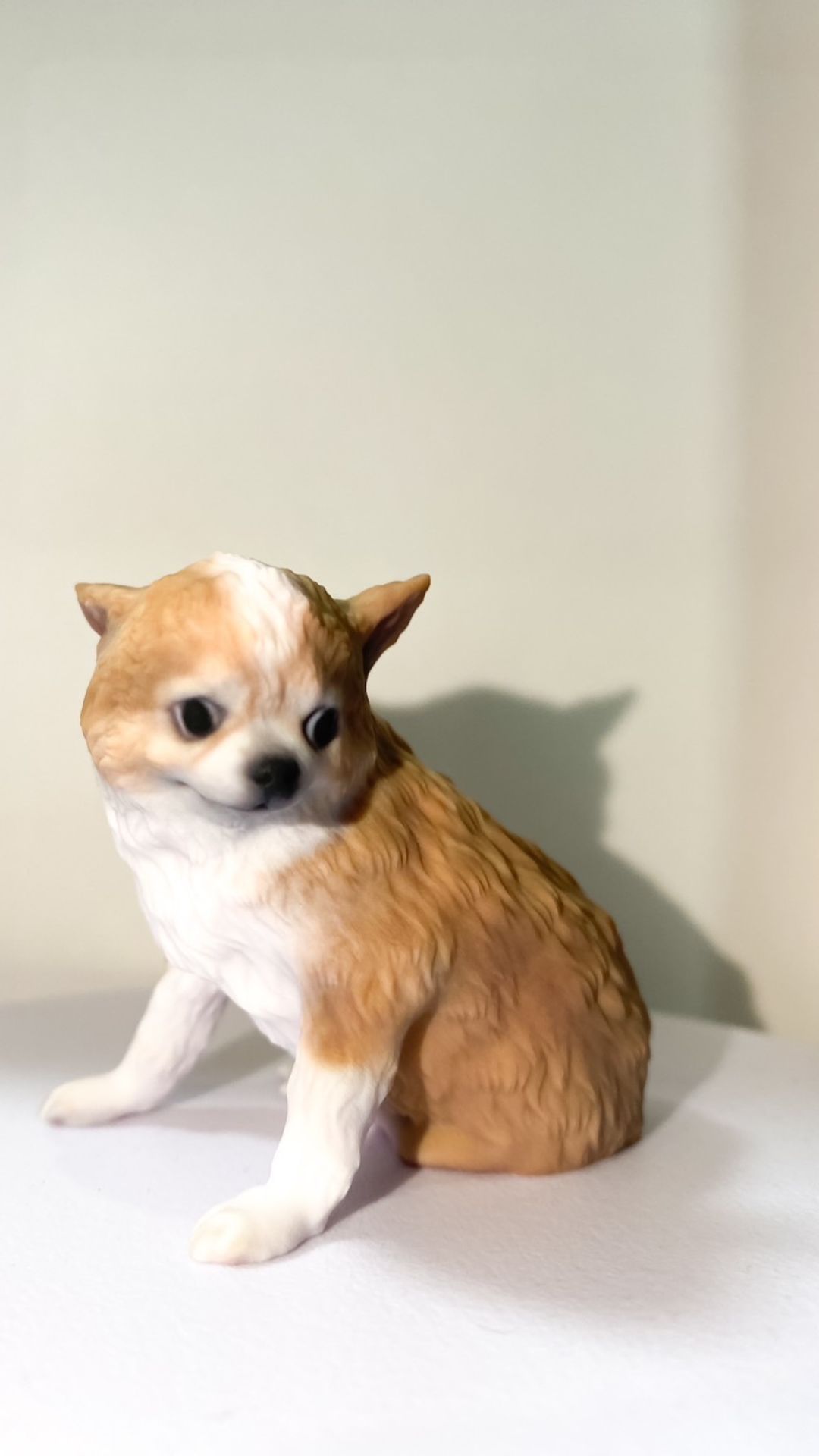 チワワ