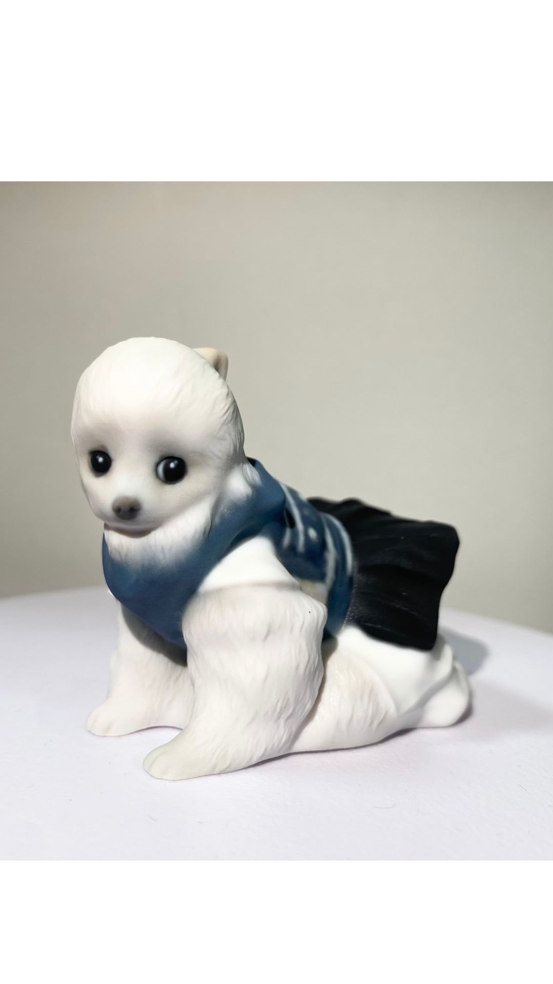 マルチーズ